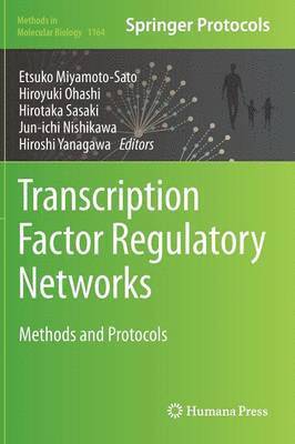bokomslag Transcription Factor Regulatory Networks
