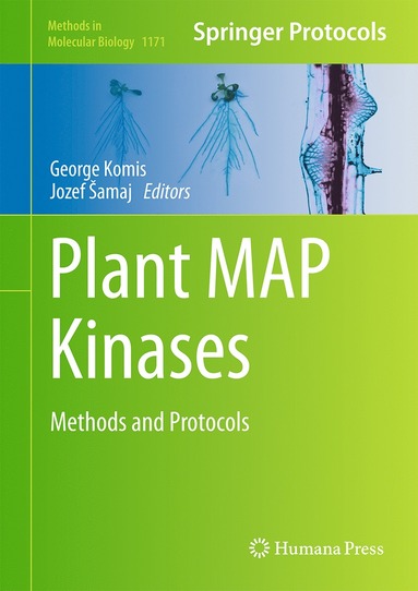 bokomslag Plant MAP Kinases