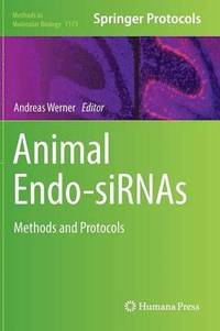 bokomslag Animal Endo-SiRNAs