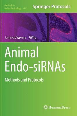bokomslag Animal Endo-SiRNAs