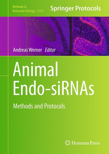 bokomslag Animal Endo-SiRNAs