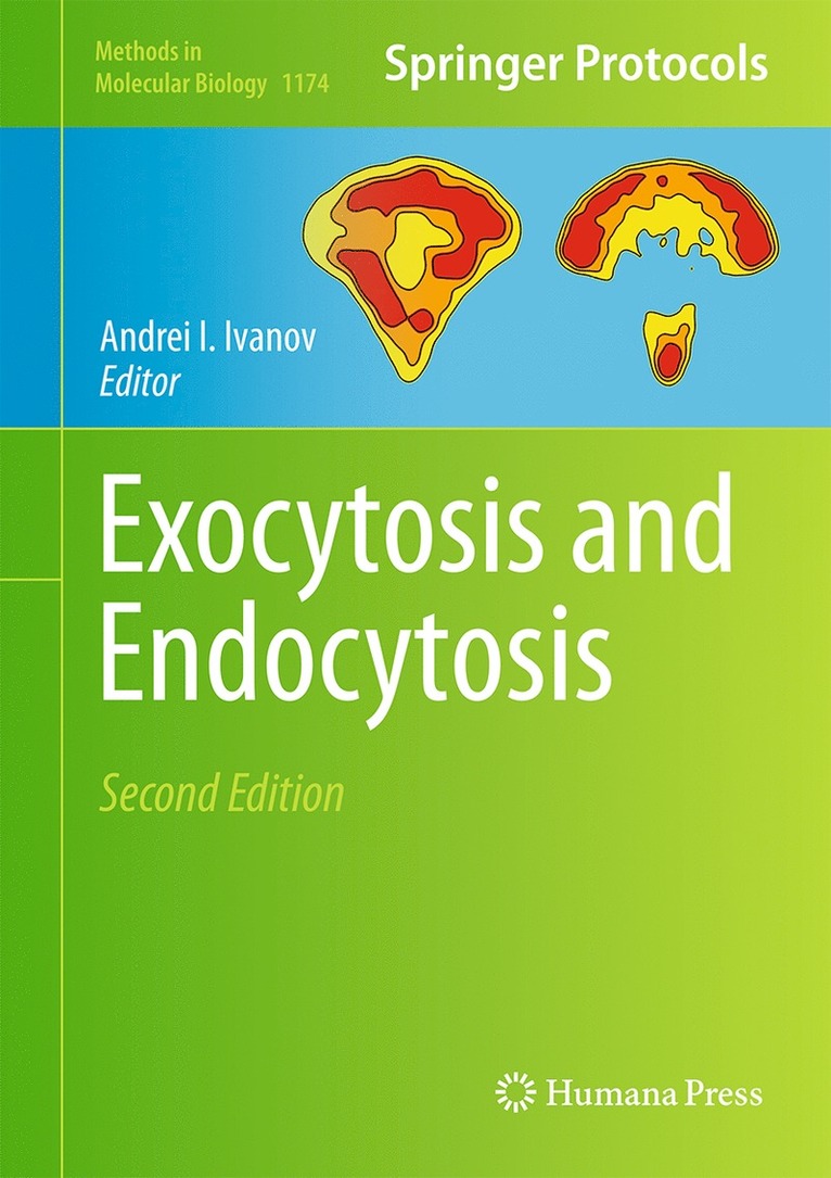 Andrei I. Ivanov - Exocytosis and Endocytosis, Inbunden