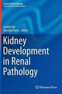 bokomslag Kidney Development in Renal Pathology