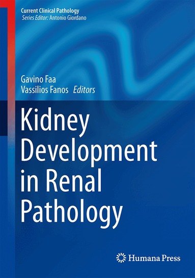 Gavino Faa, Vassilios Fanos - Kidney Development in Renal Pathology, Inbunden