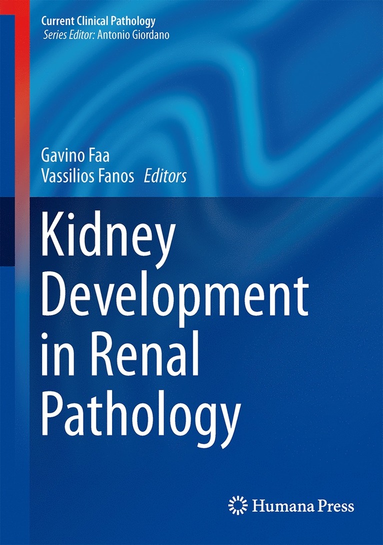 Kidney Development in Renal Pathology 1