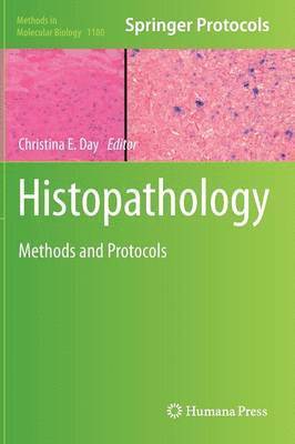 bokomslag Histopathology