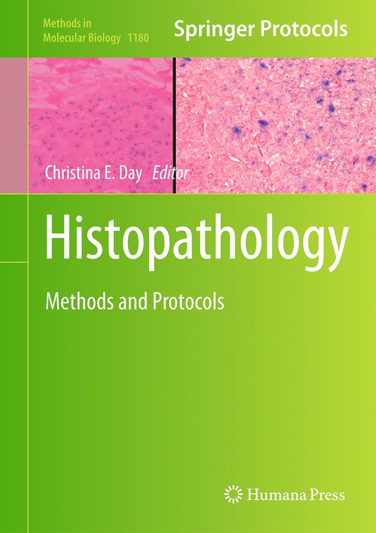 Histopathology 1