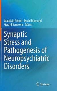 bokomslag Synaptic Stress and Pathogenesis of Neuropsychiatric Disorders