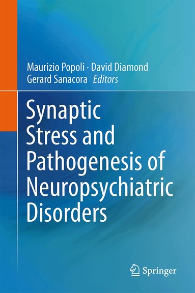 Maurizio Popoli, David Diamond, Gerard Sanacora - Synaptic Stress and Pathogenesis of Neuropsychiatric Disorders, Inbunden
