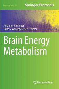 bokomslag Brain Energy Metabolism