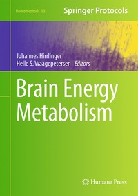 bokomslag Brain Energy Metabolism