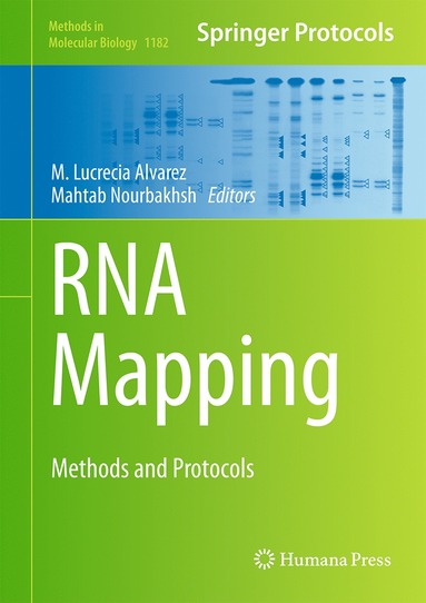 bokomslag RNA Mapping