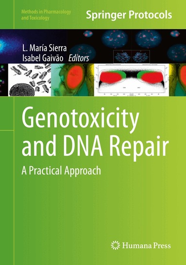 L. María Sierra, Isabel Gaivão - Genotoxicity and DNA Repair, Inbunden