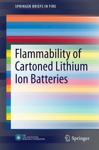 bokomslag Flammability of Cartoned Lithium Ion Batteries