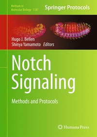 bokomslag Notch Signaling