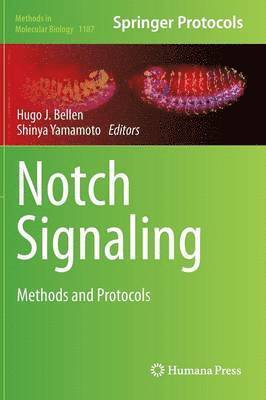 Notch Signaling 1