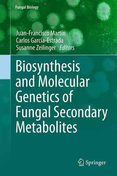 bokomslag Biosynthesis and Molecular Genetics of Fungal Secondary Metabolites