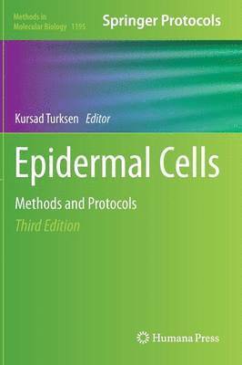 Epidermal Cells