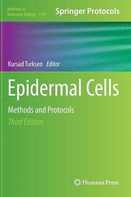 Epidermal Cells 1