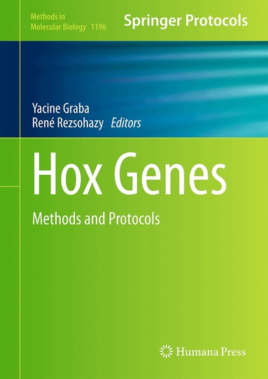 Yacine Graba, René Rezsohazy - Hox Genes, Inbunden