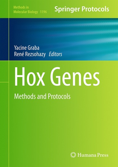 bokomslag Hox Genes