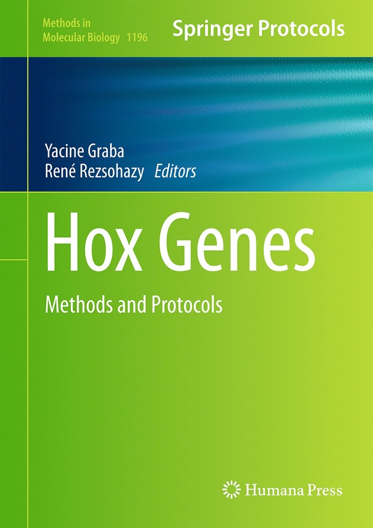 Hox Genes 1