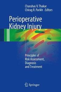 bokomslag Perioperative Kidney Injury