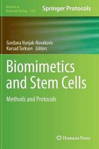 bokomslag Biomimetics and Stem Cells