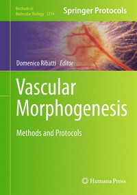 bokomslag Vascular Morphogenesis