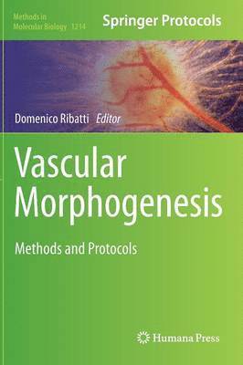 Domenico Ribatti - Vascular Morphogenesis, Inbunden