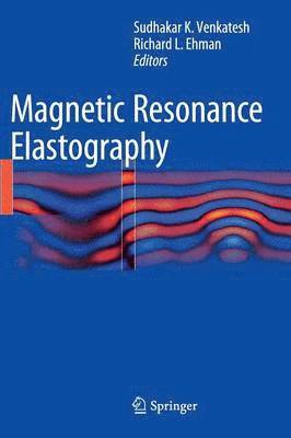 Magnetic Resonance Elastography 1