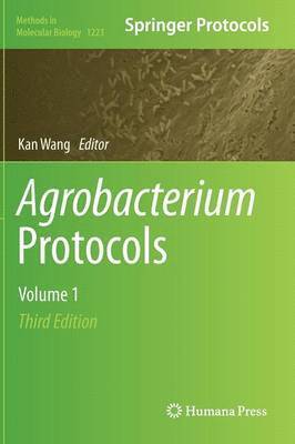 bokomslag Agrobacterium Protocols