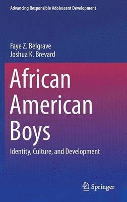 bokomslag African American Boys