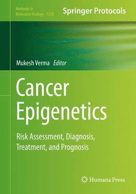 bokomslag Cancer Epigenetics