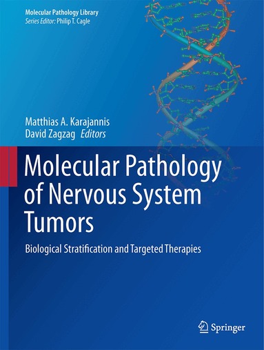 Matthias A. Karajannis, David Zagzag - Molecular Pathology of Nervous System Tumors, Inbunden