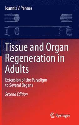 bokomslag Tissue and Organ Regeneration in Adults