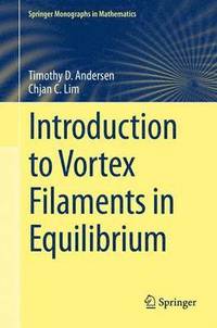 bokomslag Introduction to Vortex Filaments in Equilibrium