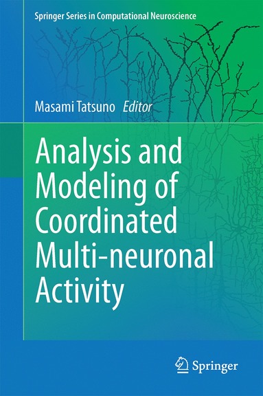 bokomslag Analysis and Modeling of Coordinated Multi-neuronal Activity