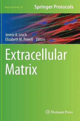bokomslag Extracellular Matrix