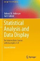bokomslag Statistical Analysis and Data Display