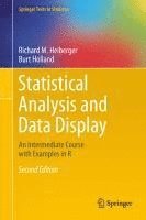 bokomslag Statistical Analysis and Data Display