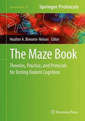 The Maze Book 1