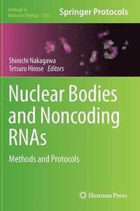 bokomslag Nuclear Bodies and Noncoding RNAs