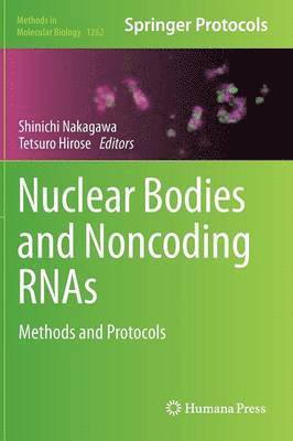 bokomslag Nuclear Bodies and Noncoding RNAs