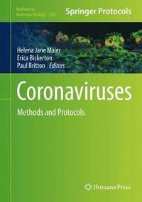 bokomslag Coronaviruses