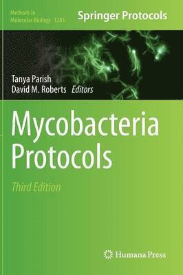 bokomslag Mycobacteria Protocols