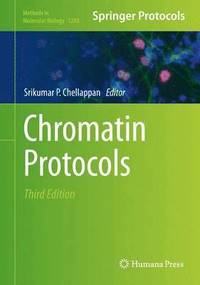 bokomslag Chromatin Protocols