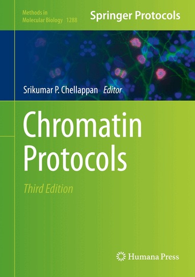 Srikumar P. Chellappan - Chromatin Protocols, Inbunden