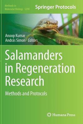 bokomslag Salamanders in Regeneration Research