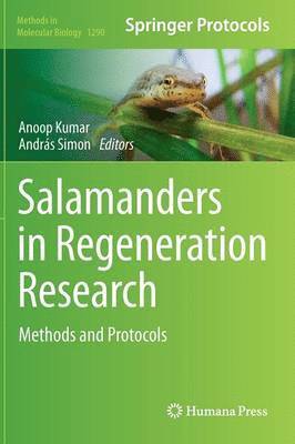 Salamanders in Regeneration Research 1